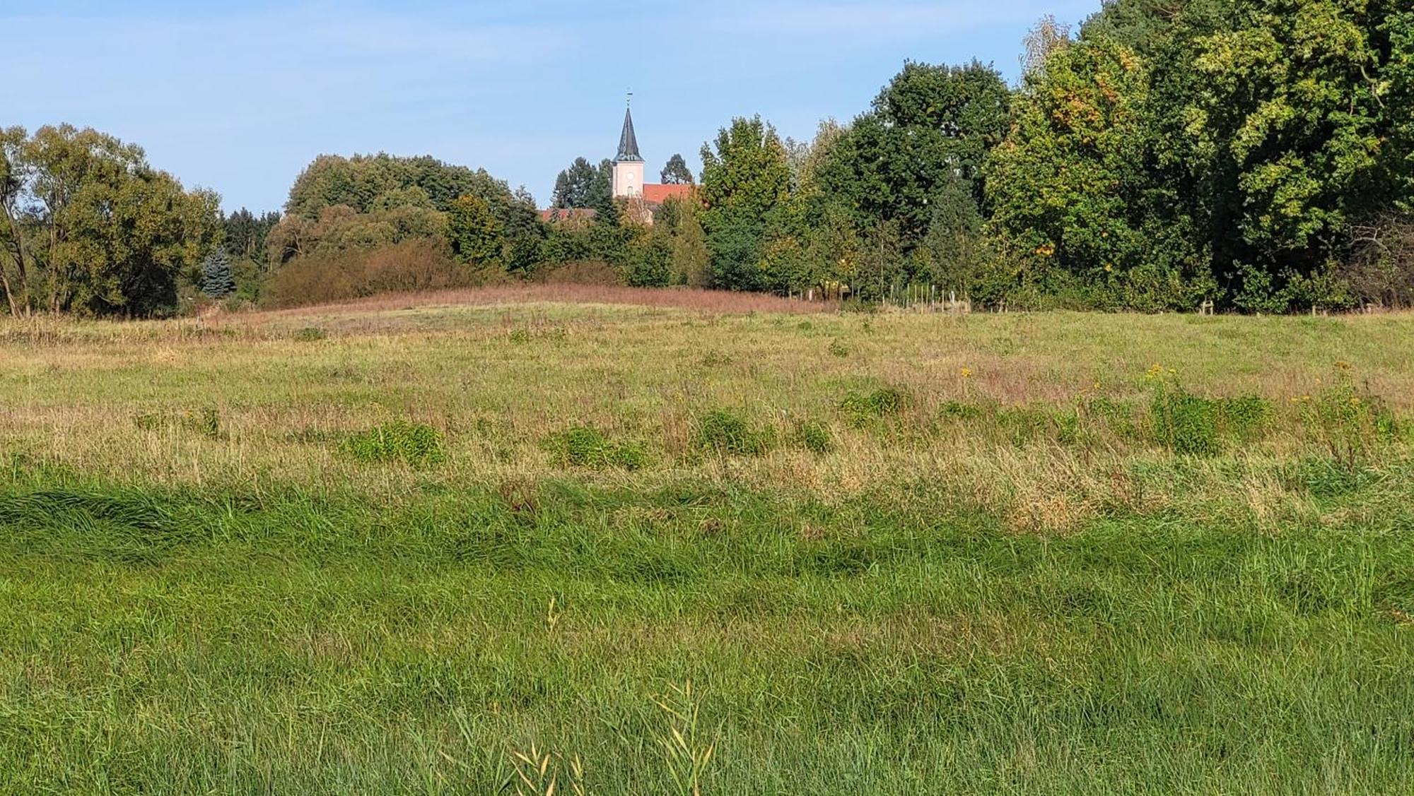 Finnhuette Zwischen Wald Und See Biesenthal Exterior foto
